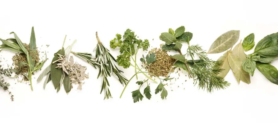 Dried Herbs vs. Fresh Herbs: Which is Better by Ana Reisdorf, MS, RD ( Garden of Life )