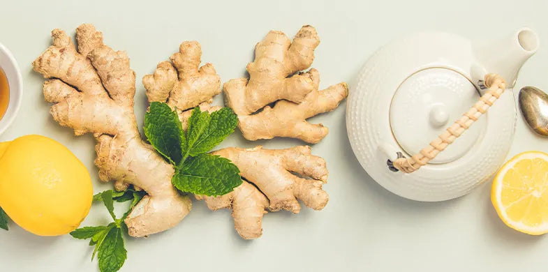 Root Out the Health Benefits of Ginger By Tracey Pollack ( Garden of Life )