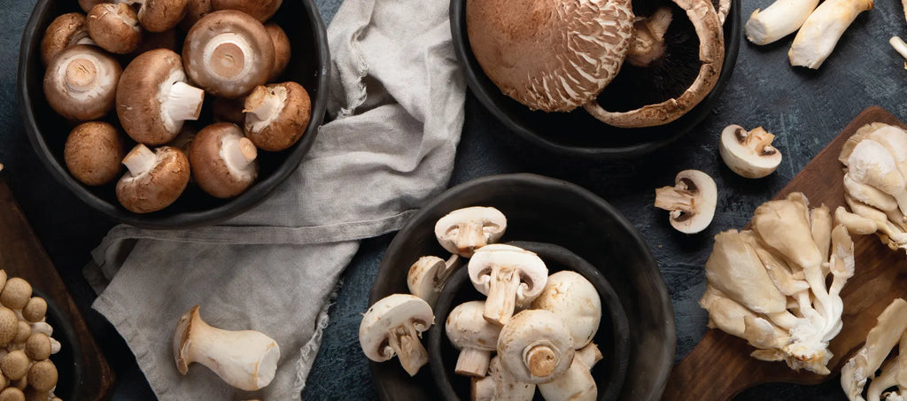 Mushrooms and Health: Exploring Functional Varieties by Ana Reisdorf, MS, RD  (Garden of Life)