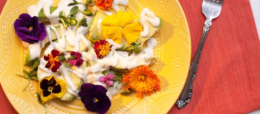 Cashew Cream Avocado Slices by Gwen Eager