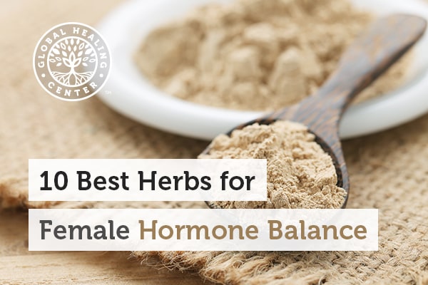 10 Best Herbs for Female Hormone Balance  Written by Dr. Group, DCFounder  Global Healing