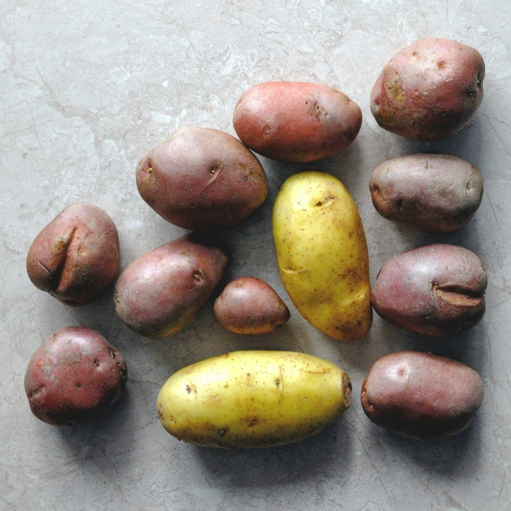 Delicious Dairy-Free Red Potato Salad with Homemade Mayo. Content reviewed by Donna Gates Written by Jenna