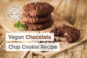Gluten-Free, Vegan Chocolate Chip Cookie Recipe Written by Dr. Group, DC Founder of Global Healing