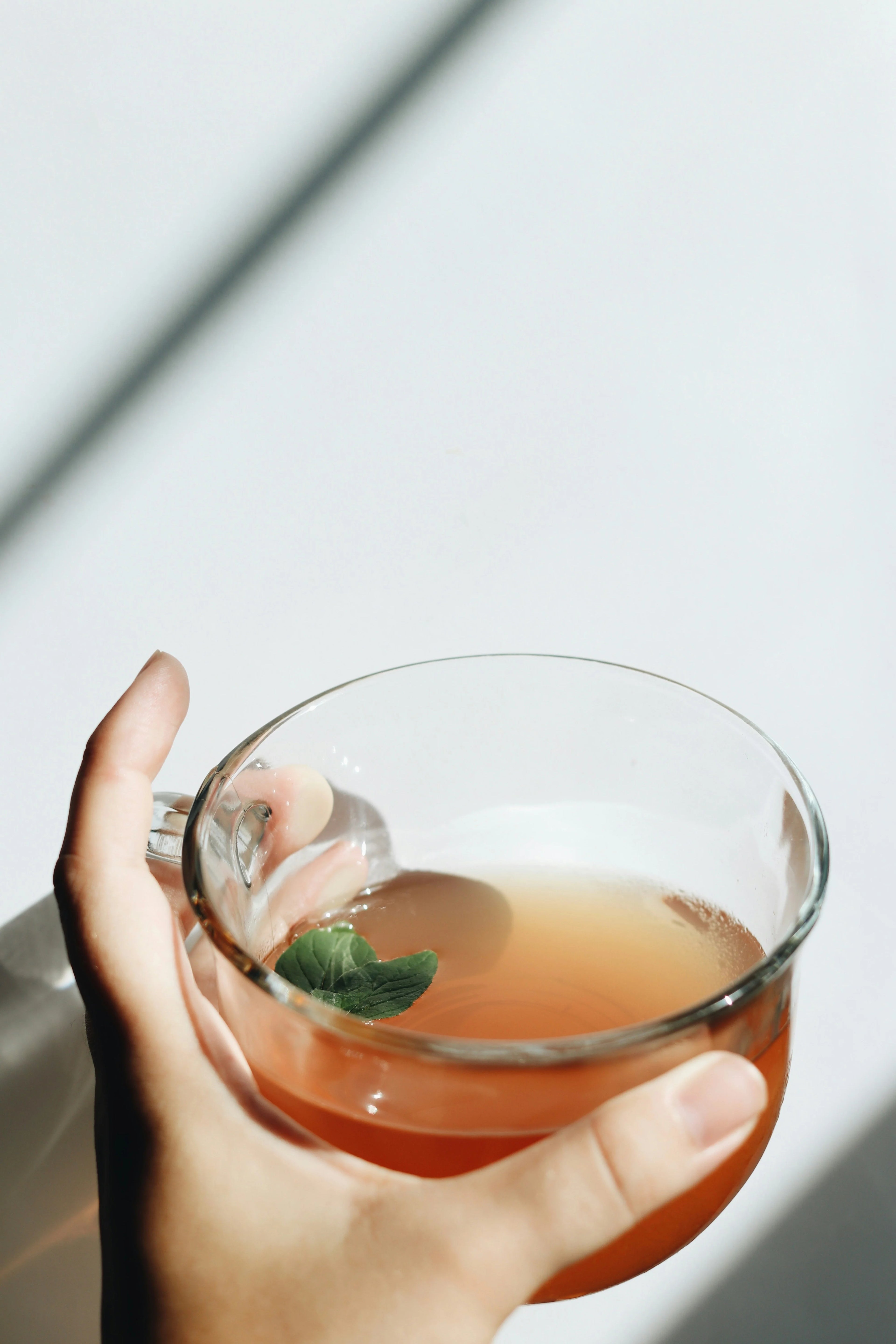 Cleanse, Detox & Digestion