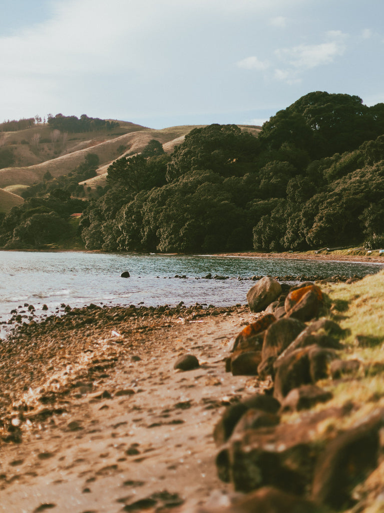 Beach with rocks and trees on a hillside under a blue sky in New Zealand.
