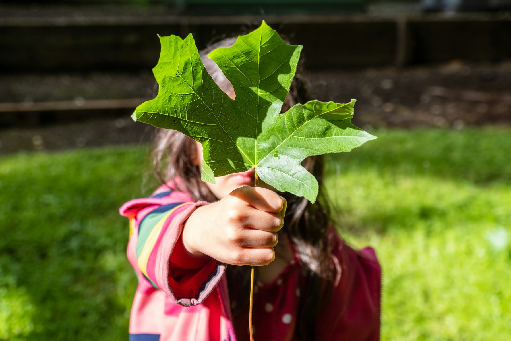 Child holding a large green leaf in front of their face outdoors.