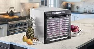 Excalibur 10 Tray Dehydrator